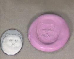 The compound mold and the template are set next to each other.
